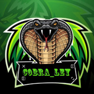 Cobra LeY - steam id 76561198287858968