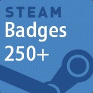 250 Badges Collector