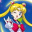 *Sailor Moon*