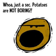 Boring Potato