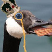 bacon lord goose's avatar
