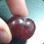 Thicc_Grape