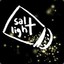 Salt Light™