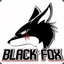 BlackFox #MNOGOXODOVO4KA