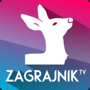 Grupa ZagrajnikTV