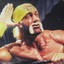 The Hulkster