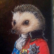 Sir_Hedgehog (Low Skilled)