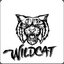 Wildcat ( ͠° ͜ʖ °)