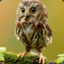 Owl ^.^