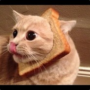 Cat in Bread