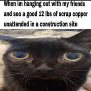 scrap copper enjoyer