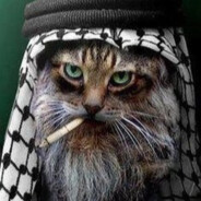 Taliban Cat