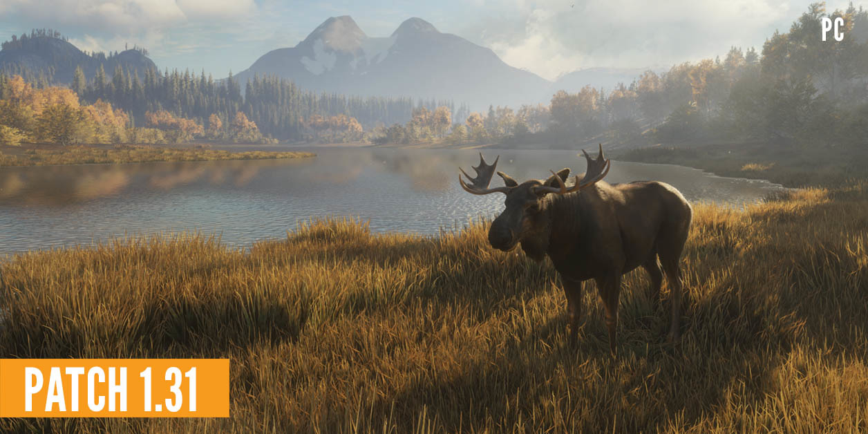the hunter call of the wild pc tips and tricks