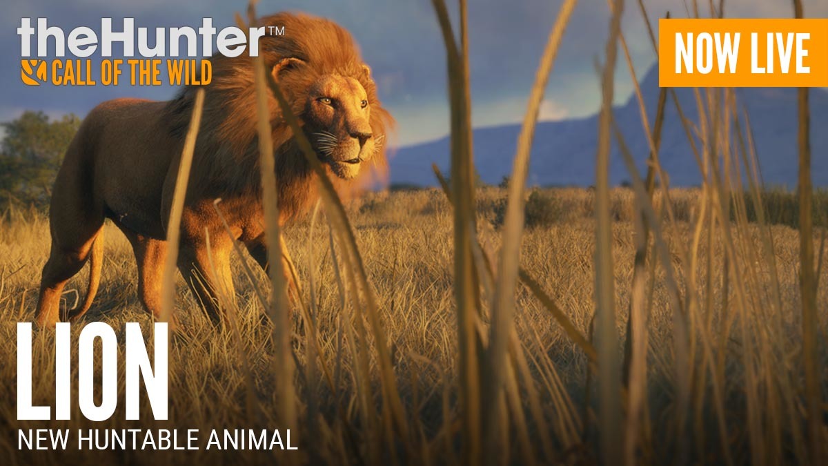 Thehunter Call Of The Wild Lion Release Patch 1 29 Steam News