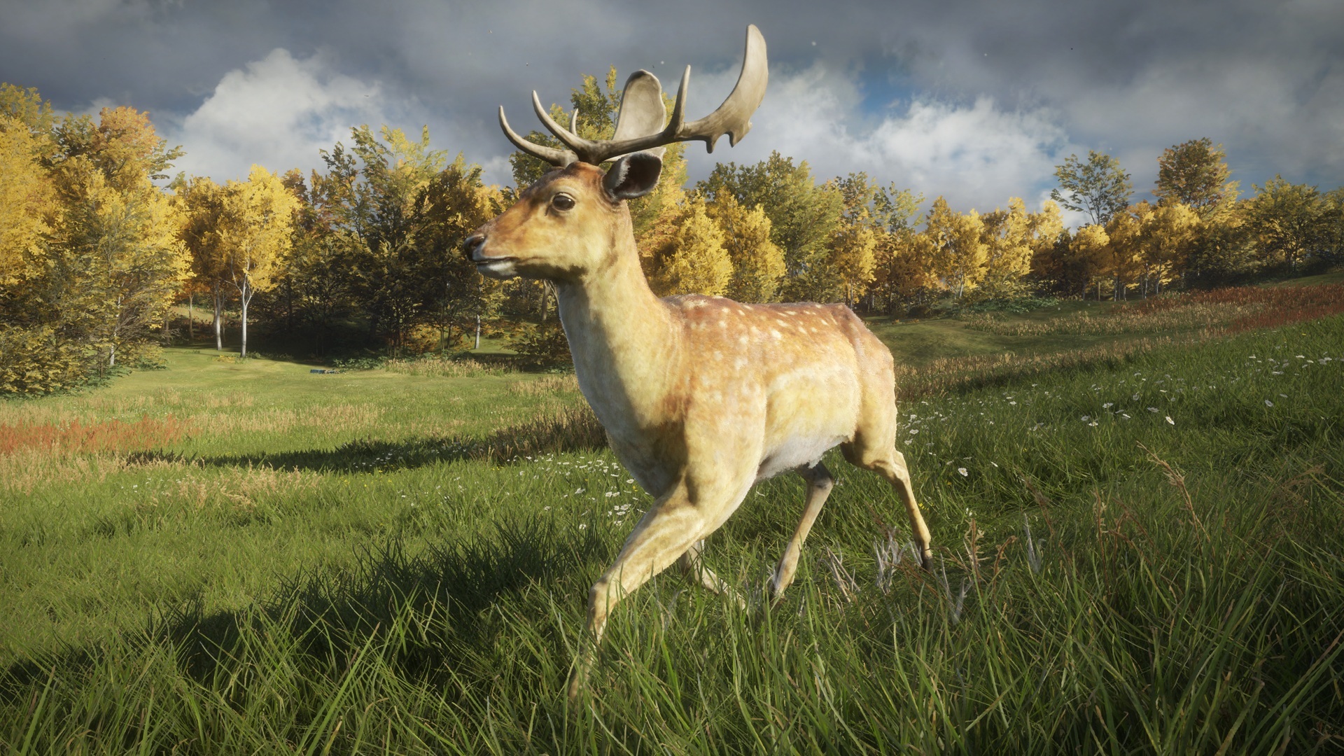 theHunter™: Call of the Wild :: The species of Hirschfelden and Layton ...