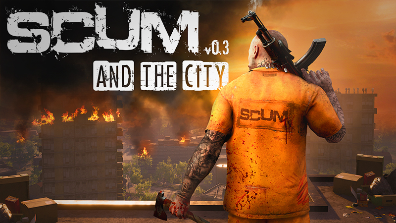 Для чего нужен флаг в scum