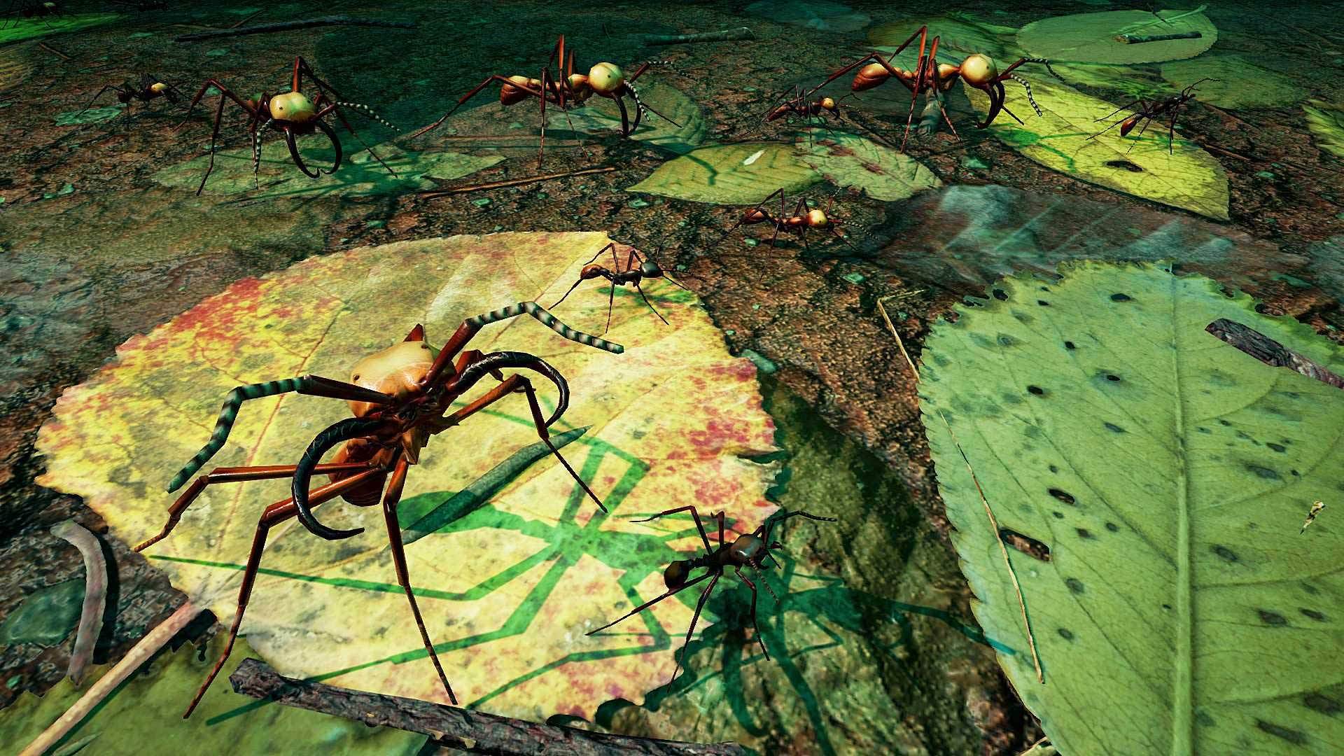 ant factions empires of the undergrowth
