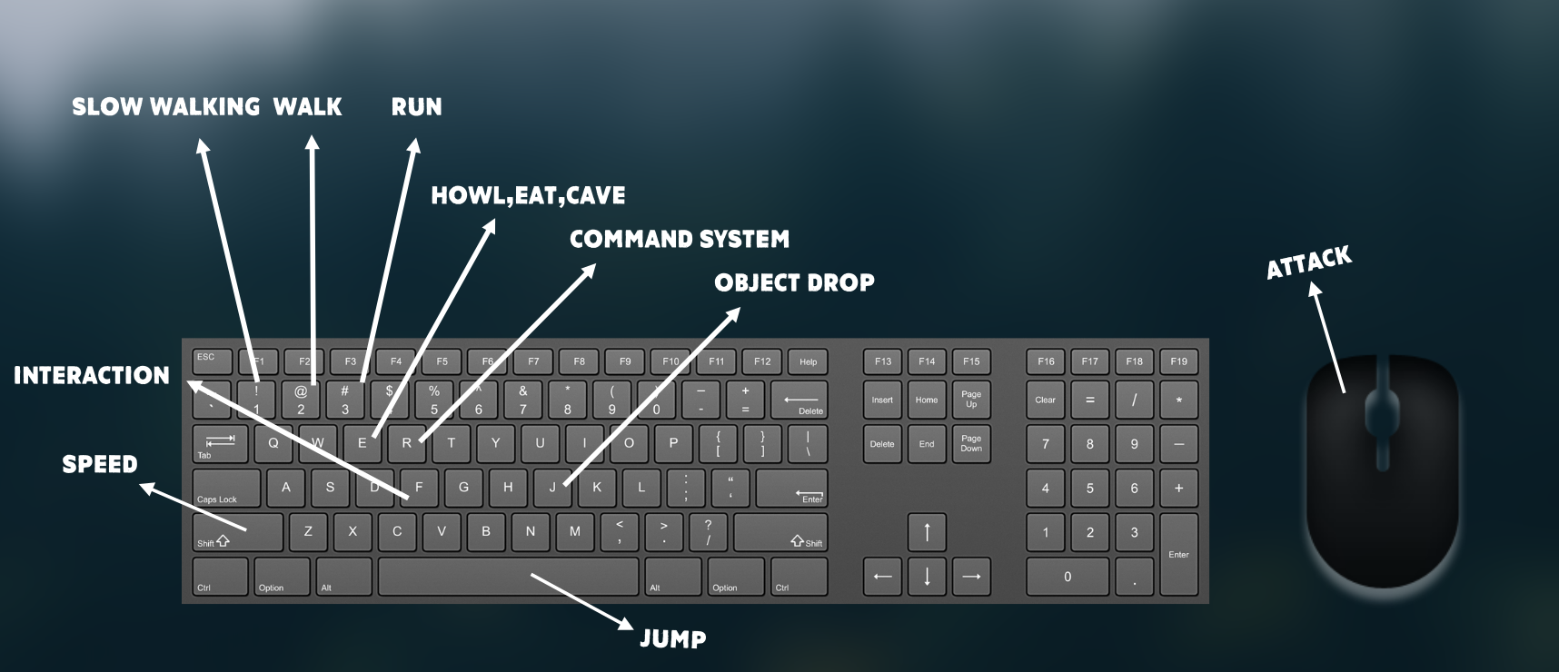 Steam Wild Wolf Keyboard Controls