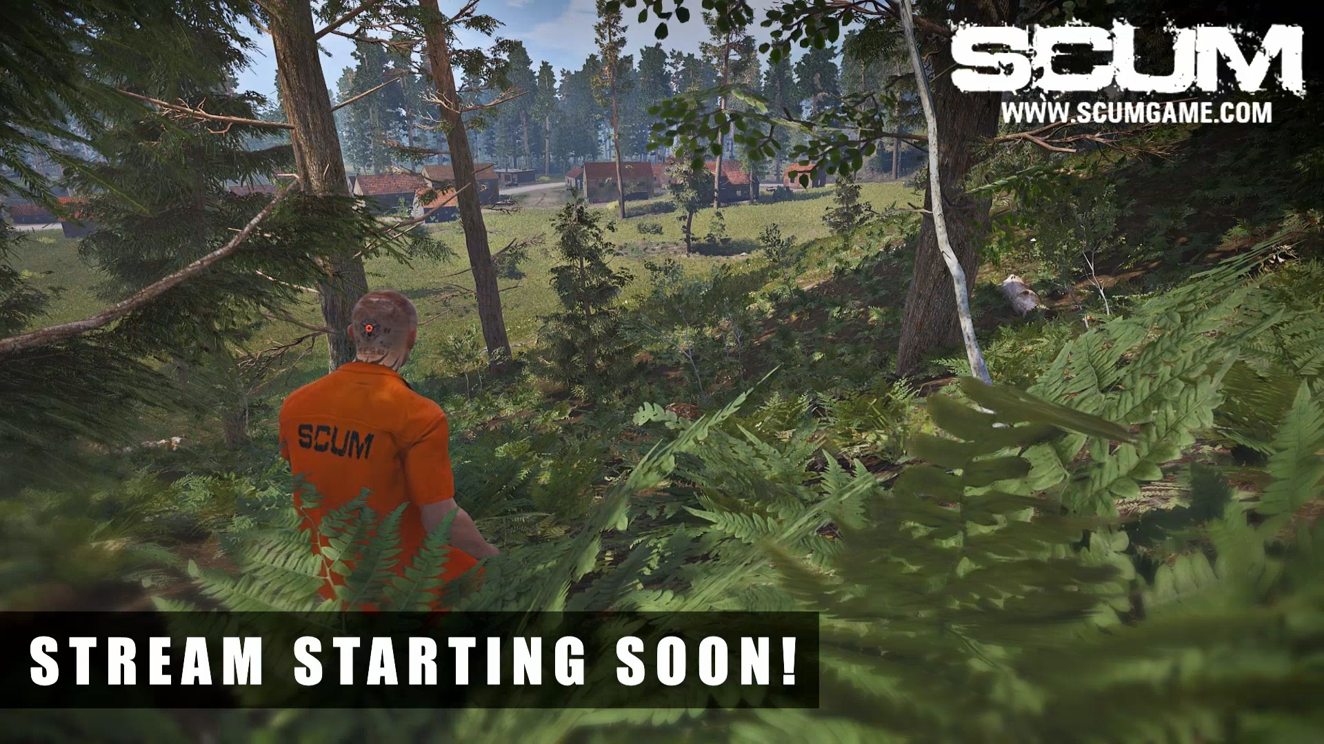 Scum steam key фото 63