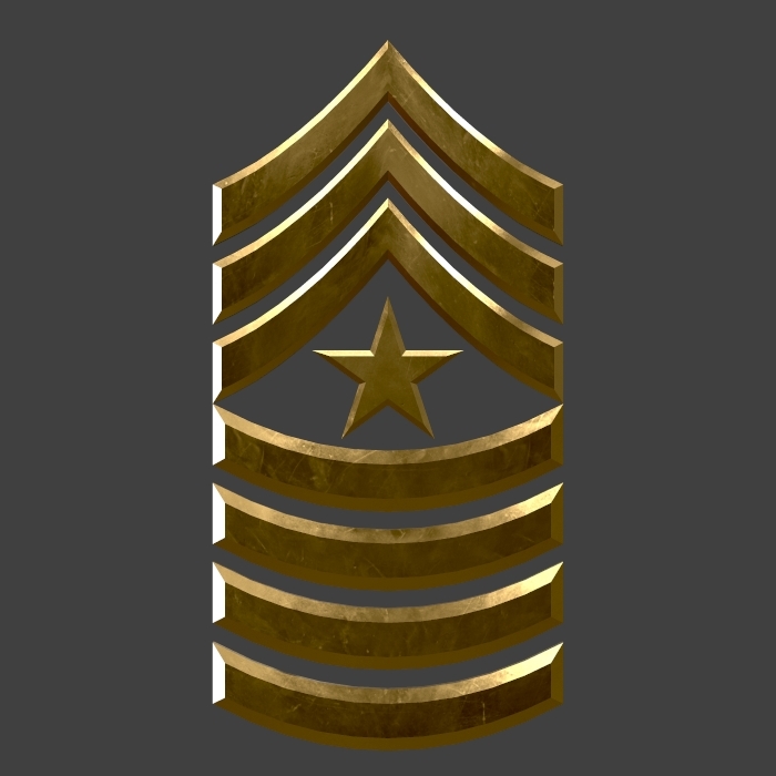 Первый сержант. Ghost Platoon. Sergeant Rank Woodland.