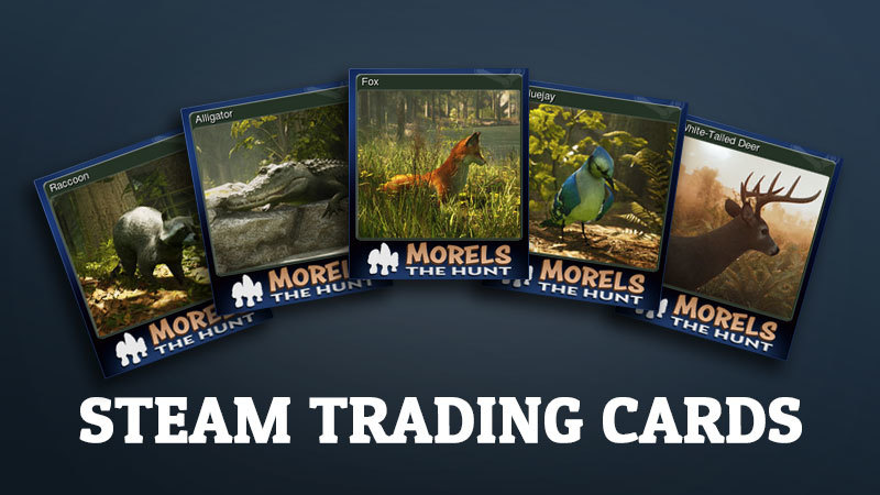 How to Buy Trading Cards on Steam