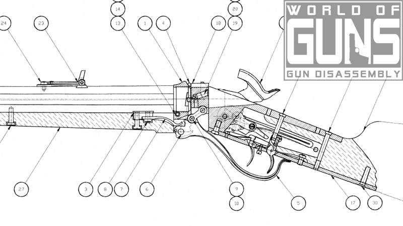 world of guns gun disassembly extract models