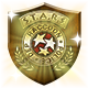 Series 1 - Gold S.T.A.R.S. Badge