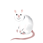 Huh Rat Animated