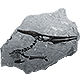 Jurassic World Evolution 2 badge Level 2: Pterosaur
