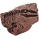 Jurassic World Evolution 2 badge Level 3: Mosasaur