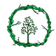 Wordle 3 badge Level 4: Massive Tree