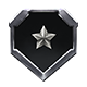 Tempest Rising badge Level 3: Drill Sergeant