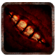 KLETKA badge Level 3: Prepare Yourself