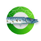 DAVE THE DIVER badge Level 2: OPEN WATER DIVER
