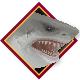 DAVE THE DIVER badge Level 5: MASTER SCUBA DIVER