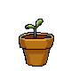 Amanda the Adventurer badge Level 2: Sprout