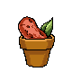 Amanda the Adventurer badge Level 5: Red Potato