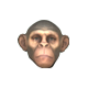 Apewar badge Level 1: Normal Monkey