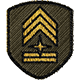 MENACE badge Level 5: Master Sergeant