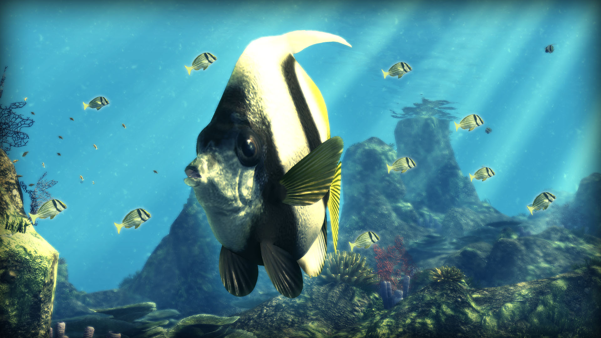 Showcase Depth Hunter 2 Deep Dive