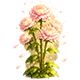 Broken Hearts Island badge Level 5: The Eternal Flower of Love