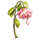 Broken Hearts Island badge Level 2: The Blooming Flower of Love