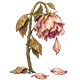 Broken Hearts Island badge Level 1: The Faded Flower of Love