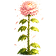 Broken Hearts Island badge Level 4: The Prophetic Flower of Love