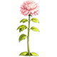 Broken Hearts Island badge Level 3: The Magical Flower of Love