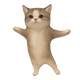 MEMOLOGY: GOYDA badge Level 3: HAPPI HAPPI