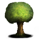 Series 1 - Green Tree