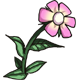 Series 1 - Marcus' flower