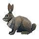 Series 1 - Rabbit