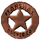 Series 1 - Marshal Badge